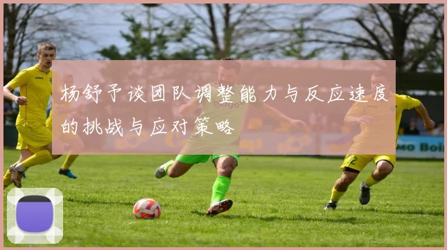 杨舒予谈团队调整能力与反应速度的挑战与应对策略